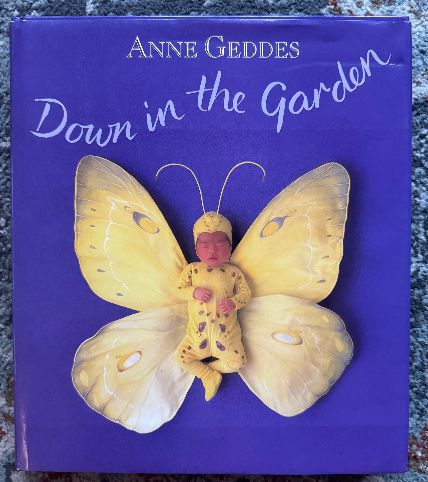 Down in the Garden Book (By Anne Geddes)