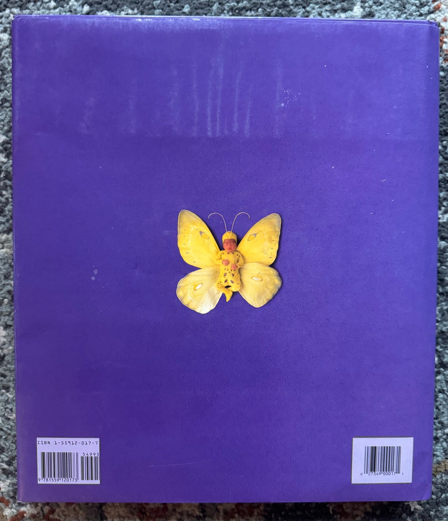 Down in the Garden Book (By Anne Geddes)