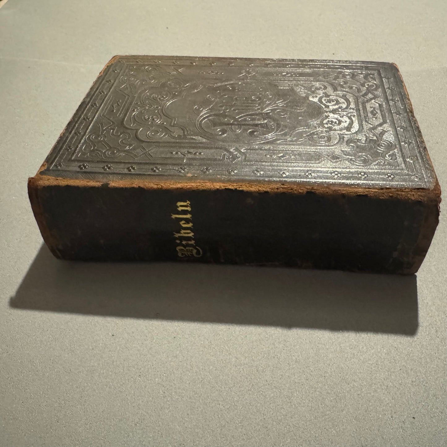 Holy Bible (1896) in Swedish (Bibeln)