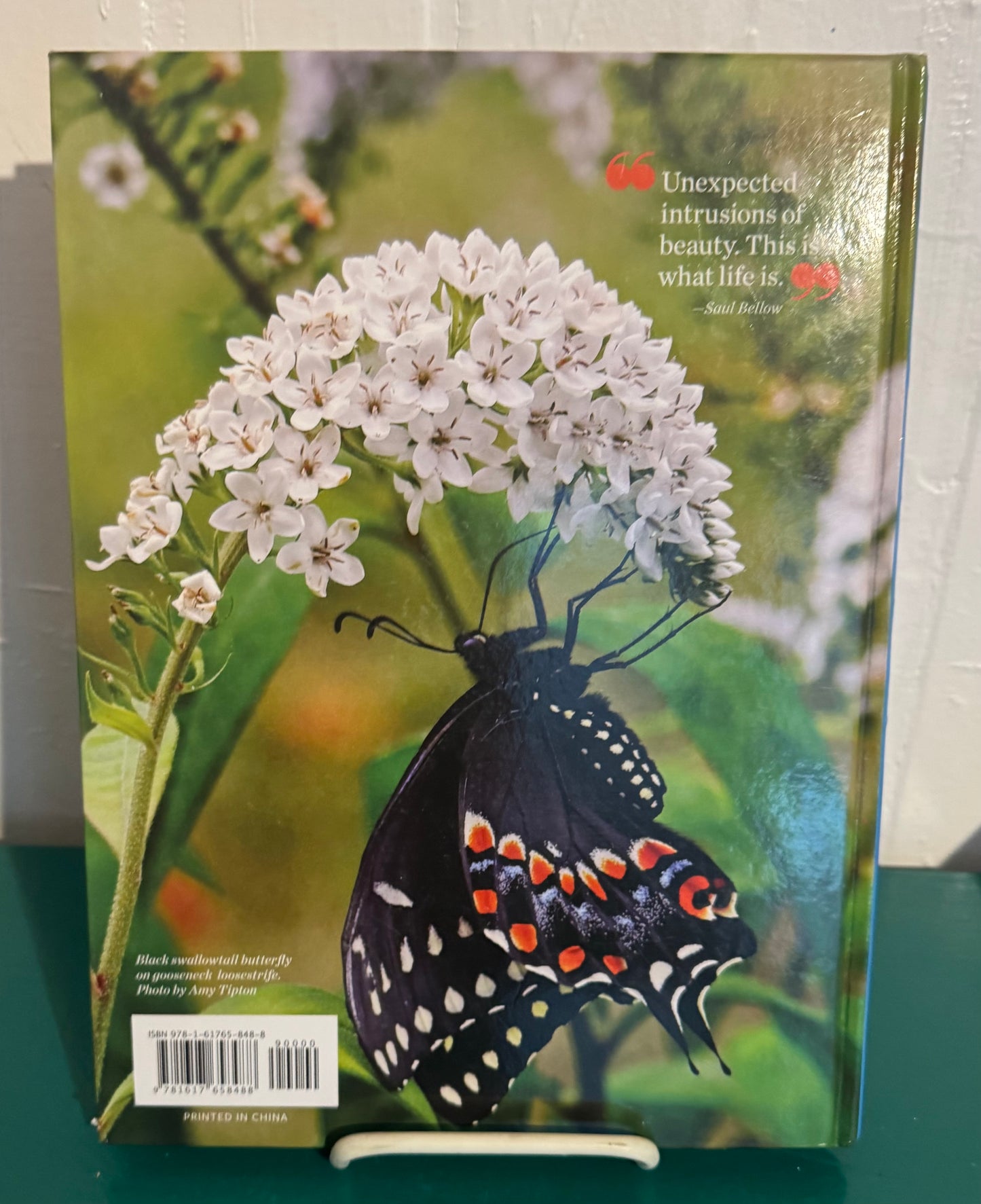 The Best of Birds and Blooms (By Heather Lamb and Birds and Bloom)