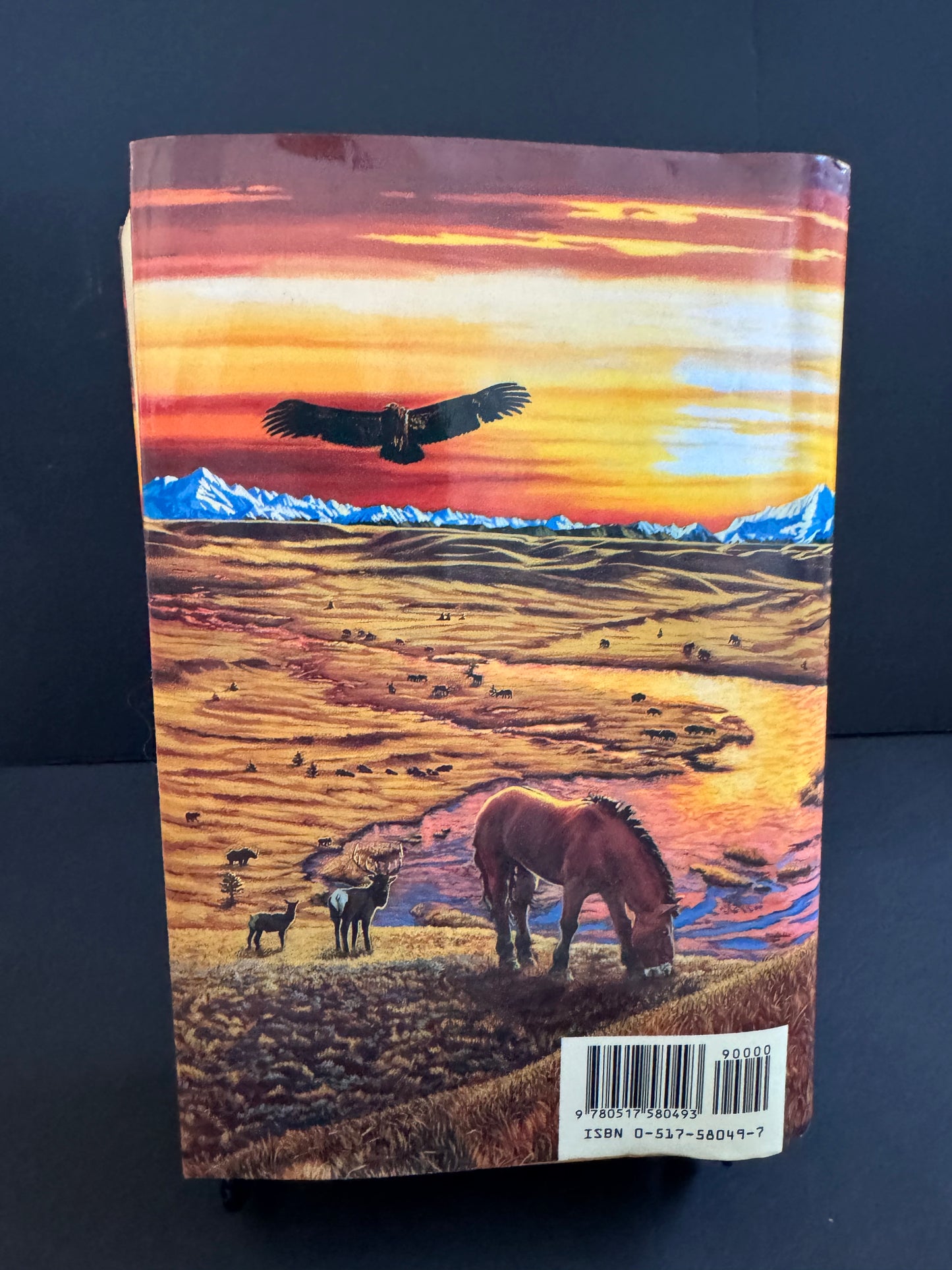 The Plains Of Passage, First Edition (By Jean M. Auel)