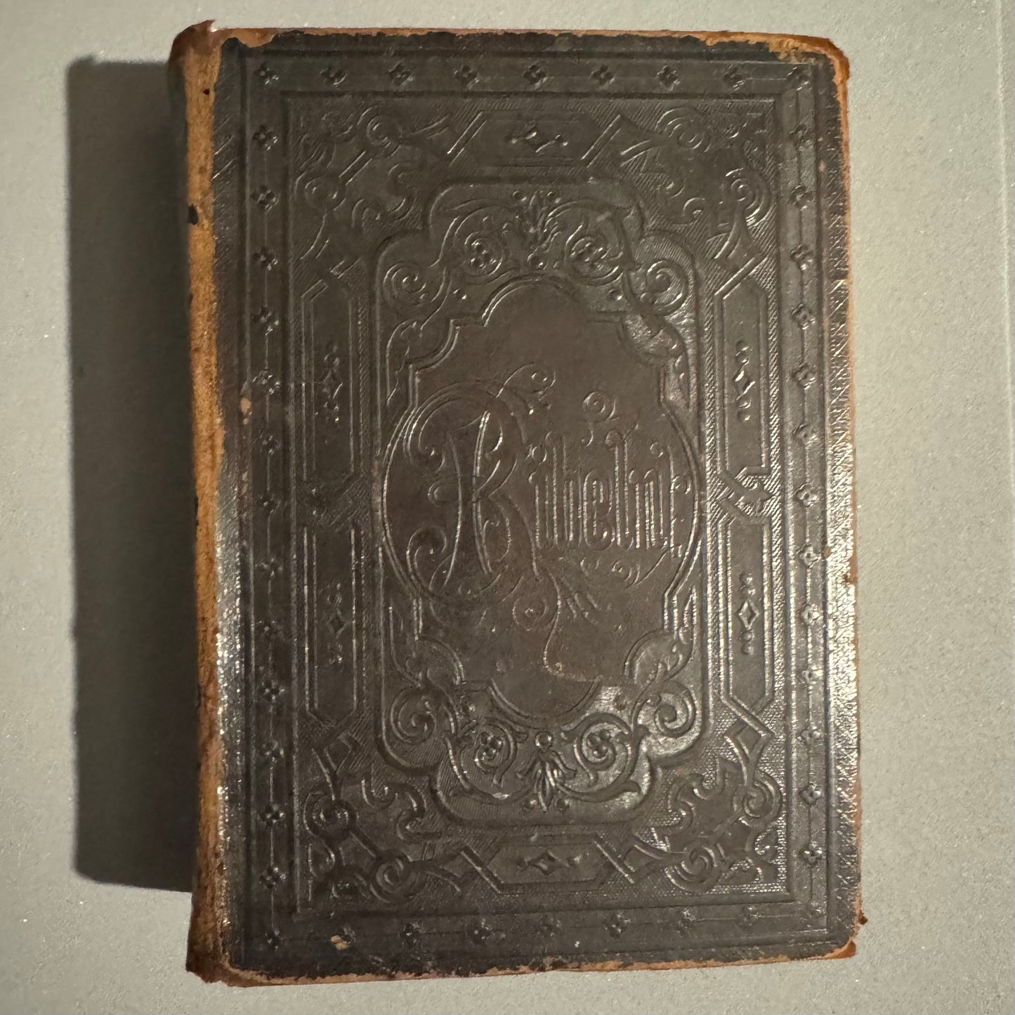 Holy Bible (1896) in Swedish (Bibeln)