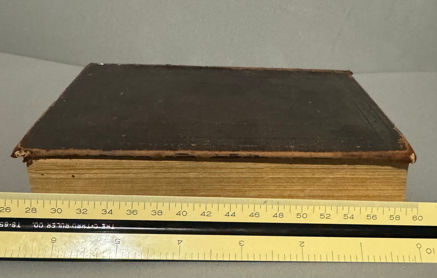 Holy Bible (1896) in Swedish (Bibeln)