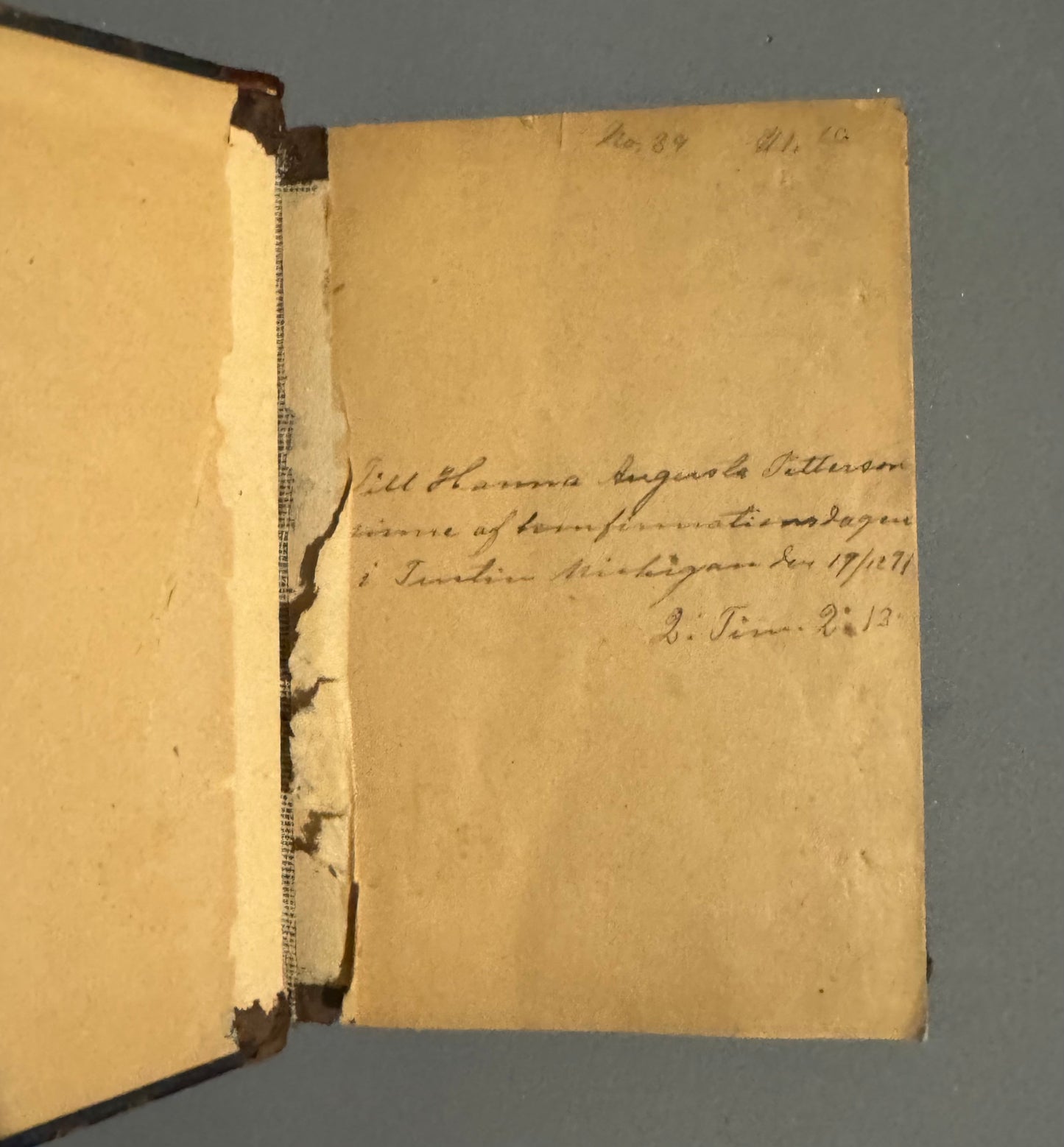 Holy Bible (1896) in Swedish (Bibeln)