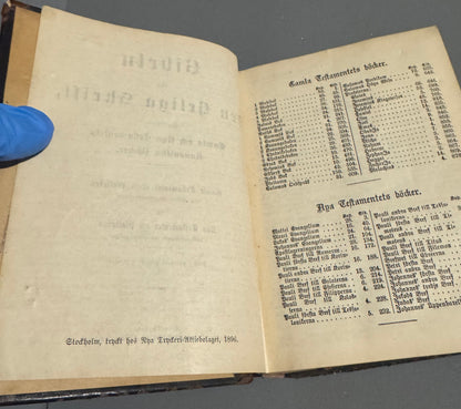 Holy Bible (1896) in Swedish (Bibeln)