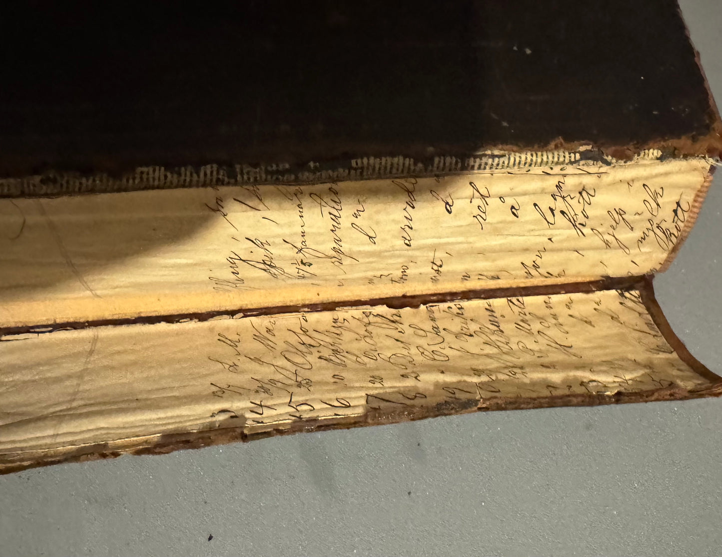 Holy Bible (1896) in Swedish (Bibeln)