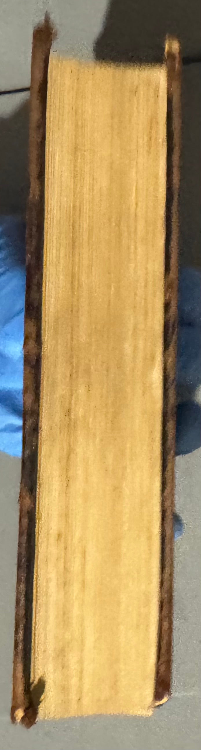 Holy Bible (1896) in Swedish (Bibeln)