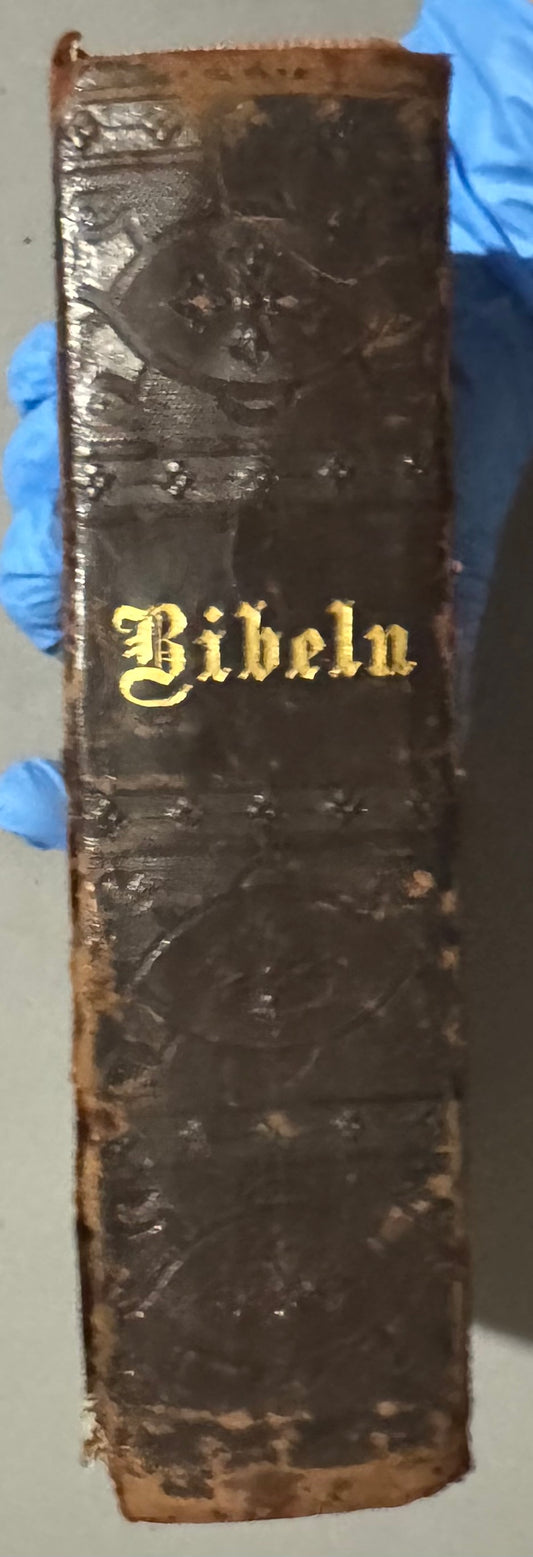 Holy Bible (1896) in Swedish (Bibeln)
