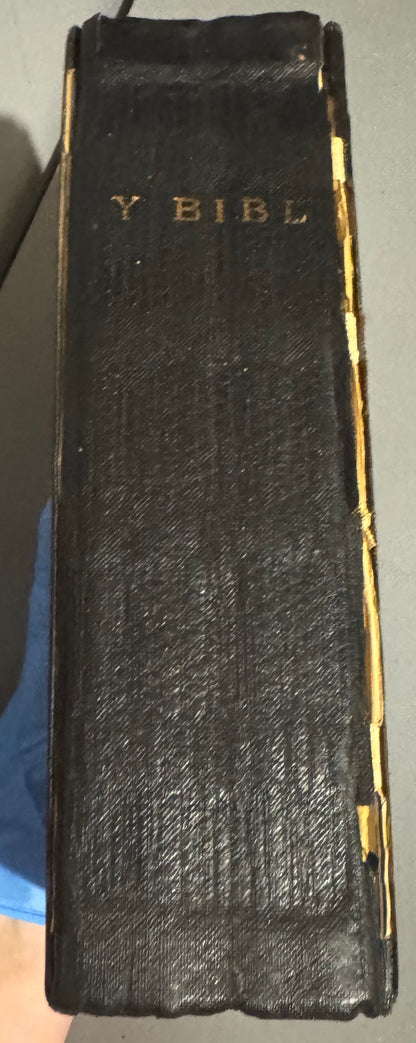 Holy Bible (1804) in Welsh (Y Beibl cyssegr-lan)