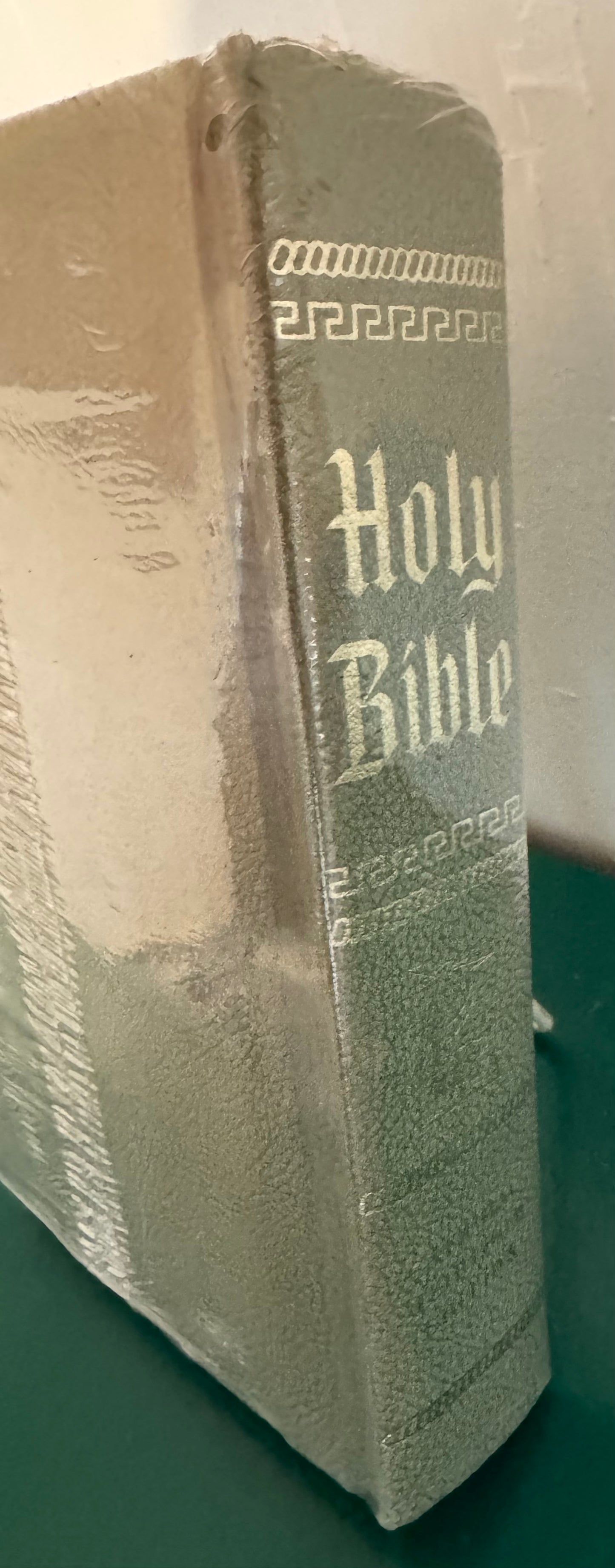 The New American Bible (New, Large, Family Size Version)