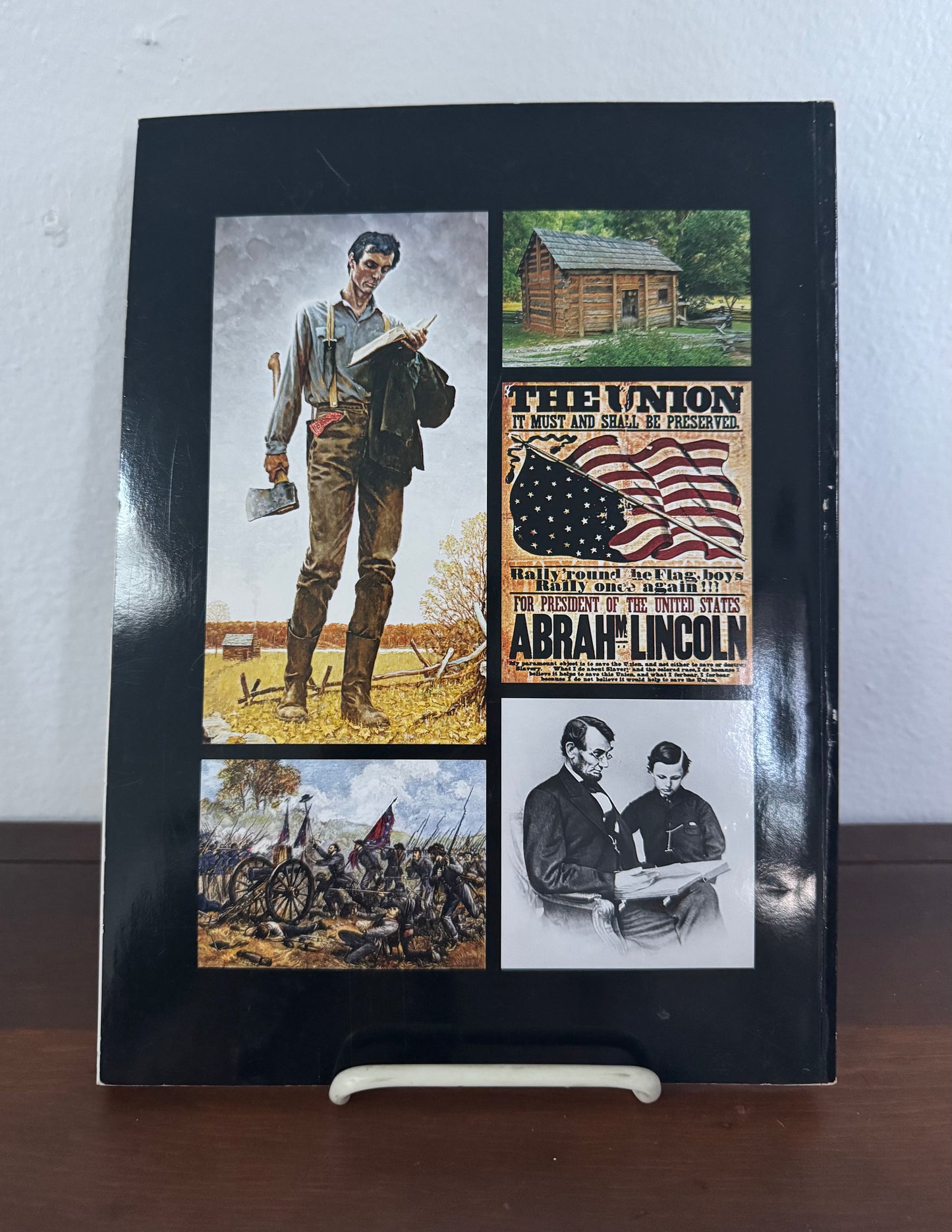 Abraham Lincoln: An illustrated History of his Life and Times (2009)